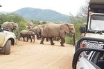 Kruger National Park Safari Travel by air