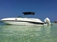 Private Half Day Stingray City, Snorkeling and Starfish Beach Tour