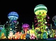 Glow Garden Ticket Evening Time & Two Way Transfers