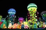 Glow Garden Ticket Evening Time & Two Way Transfers