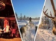 Santa Claus Village Guided Tour & Arctic Animals Adventure
