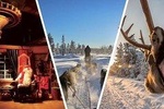 Santa Claus Village Guided Tour & Arctic Animals Adventure