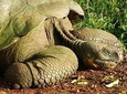 GALAPAGOS ESSENTIALS 7 DAYS