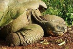 GALAPAGOS ESSENTIALS 7 DAYS