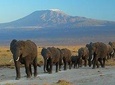 Overnight Safari to Amboseli National Park