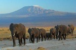 Overnight Safari to Amboseli National Park