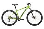 Bicycle Rental