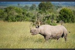 Day Tour to Ol Pejeta Conservancy