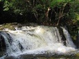 Tour to Presidente Figueiredo: Amazon Waterfalls