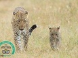 Tanzania Classic - 7 Days