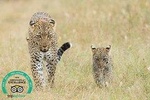 Tanzania Classic - 7 Days