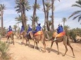 Camel ride Marrakech