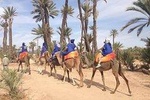 Camel ride Marrakech