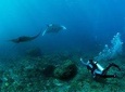 PADI Advance Open Water Course in Lembongan
