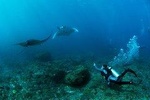 PADI Advance Open Water Course in Lembongan