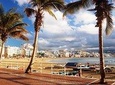 Guided Tour of Las Palmas including Botanic Garden and Volcano