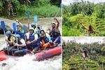White Water Rafting Bali, Tegalalang Rice Terrace, and Jungle Swing