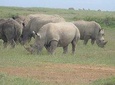 14 Days African Home Adventure Safaris