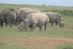 14 Days African Home Adventure Safaris