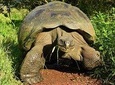 The Best of Galapagos Adventure in 7 Days