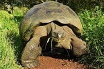 The Best of Galapagos Adventure in 7 Days
