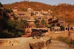 Private Custom Day Tour: Neemrana Sightseeing with Lunch