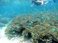 Snorkeling Adventure