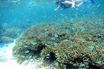 Snorkeling Adventure