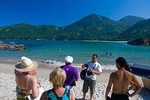 Trindade Village Tour