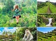 Private Tour: Best of Ubud With Jungle Swing All-Inclusive