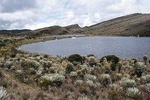 Sumapaz Moorlands Hike Tour from Bogotá