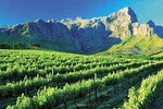 Cape Winelands Tour