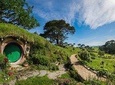 Auckland to Rotorua via Waitomo Caves One-Way Private Tour