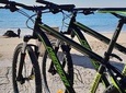 Mountain Bike Rental