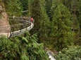 Grouse Mountain & Capilano Suspension Bridge Park