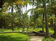 5 Day Santa Marta, Tayrona Park & Minca