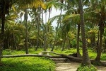 5 Day Santa Marta, Tayrona Park & Minca