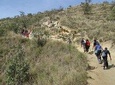 Overnight Exciting Tour To Mt. Longonot and Hell's Gate Park 
