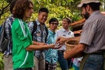 Discover everything about the process and preparation of the Coffee in a guided coffee tour.