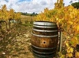 Chianti Wine and Vinci half day Tour from Lucca