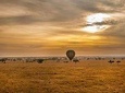 4Days/3Nights Comfort in Serengeti, Ngorongoro ,L Manyara