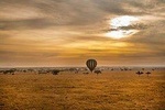 4Days/3Nights Comfort in Serengeti, Ngorongoro ,L Manyara