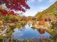 Private Day Trip to Nami Island, Rail Bike and Garden of Morning Calm