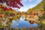Private Day Trip to Nami Island, Rail Bike and Garden of Morning Calm