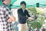 Hands-on Bonsai Experience in Bonsai Mecca near Tokyo