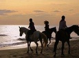 HORSE DAY IN ANCIENT ROME