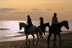 HORSE DAY IN ANCIENT ROME