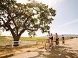 Wine Country Farm to Table Bike Tour