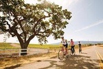 Wine Country Farm to Table Bike Tour