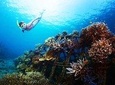 The Charm of east Bali and Blue Lagoon Snorkeling